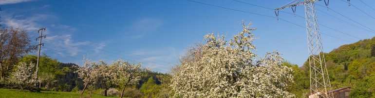 Stromtrasse durch Streuobstwiese. Foto: blickwinkel/A. Held