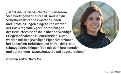 Friederike Müller, Netze BW