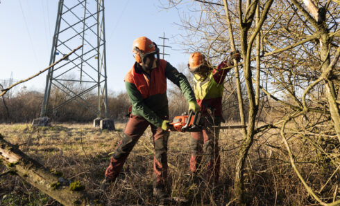 Gehölzpflegearbeiten - Foto: Frank Müller
