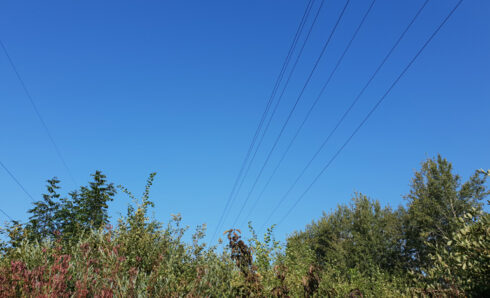 Stromtrassen im Ehinger Ried - Foto: BUND/Annette Reiber