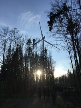 Windenergieanlage Verenafohren, ein Windrad zwischen Bäumen